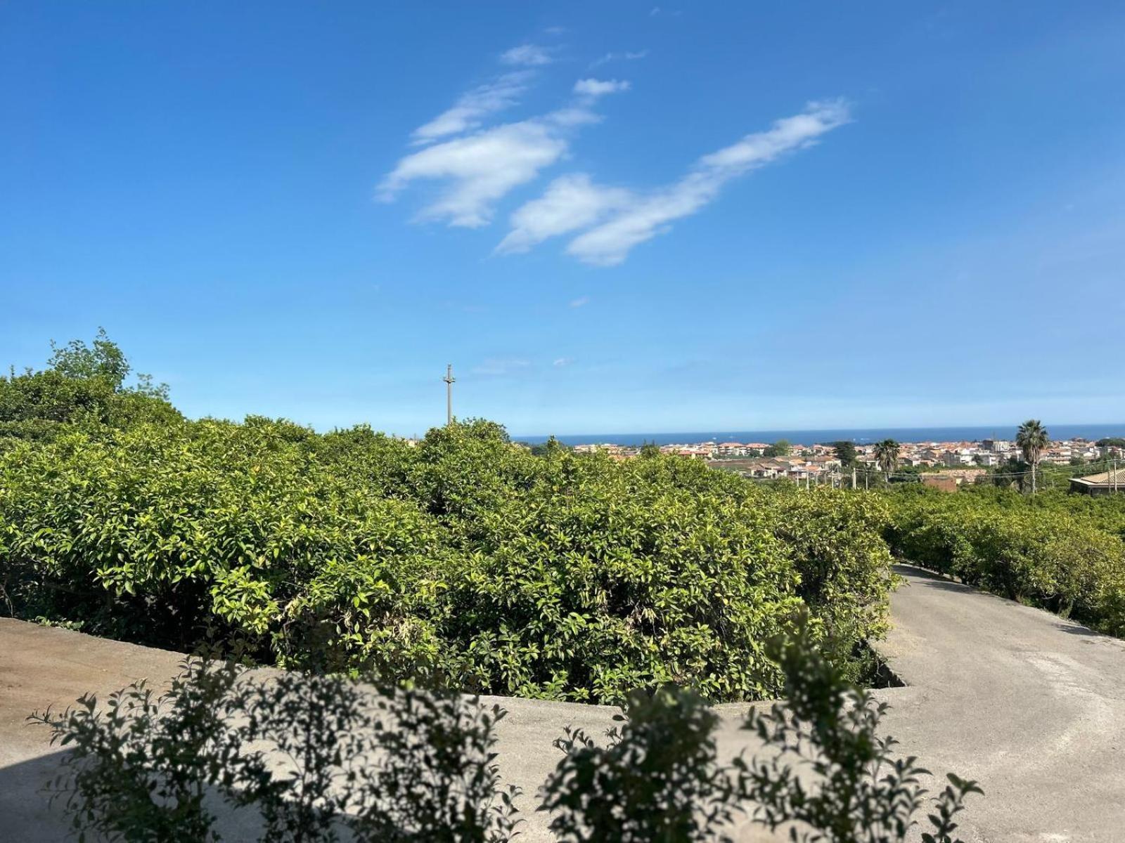 Villa Iiulia Hills Fiumefreddo di Sicilia Exterior foto